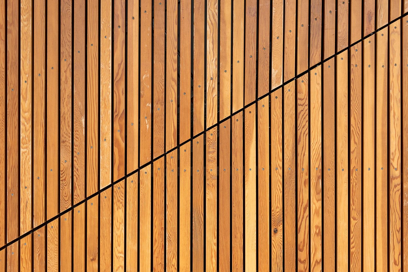 Work by Marcus Hannaford Fencing