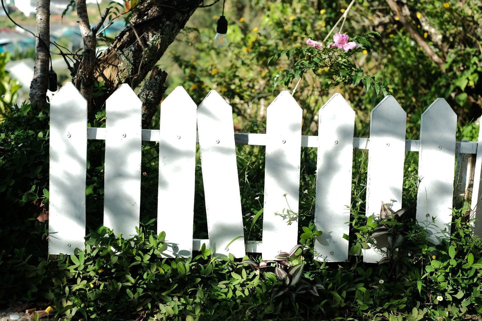 Marcus Hannaford Fencing project 2